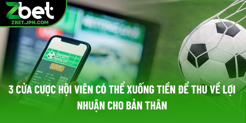 3 cửa cược hội viên có thể xuống tiền để thu về lợi nhuận cho bản thân 3 cửa cược hội viên có thể xuống tiền để thu về lợi nhuận cho bản thân