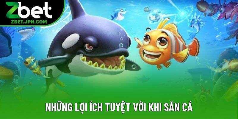 Những lợi ích tuyệt vời khi săn cá Những lợi ích tuyệt vời khi săn cá